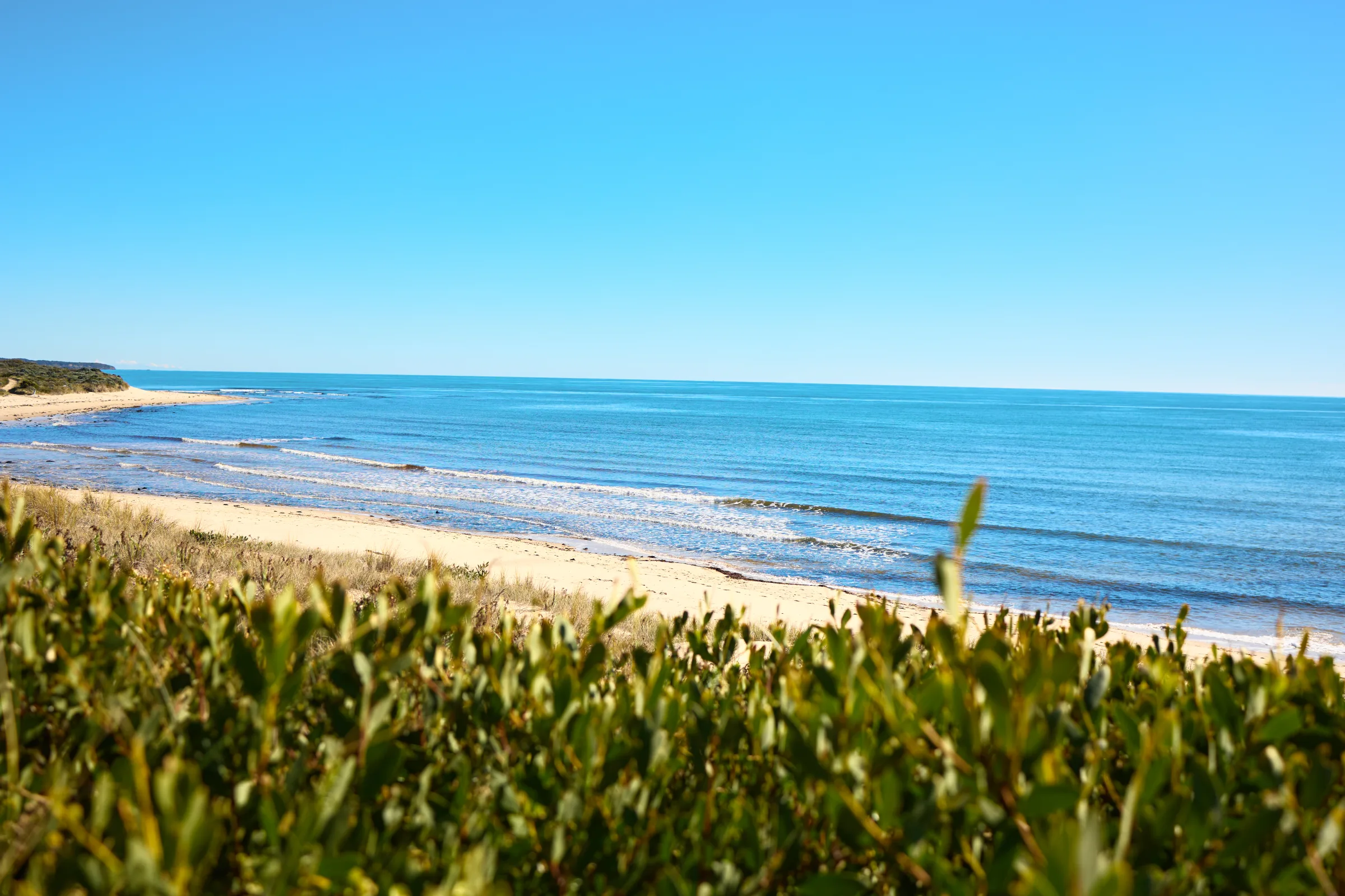 Coastal scrub and dunes with the ocean beyond